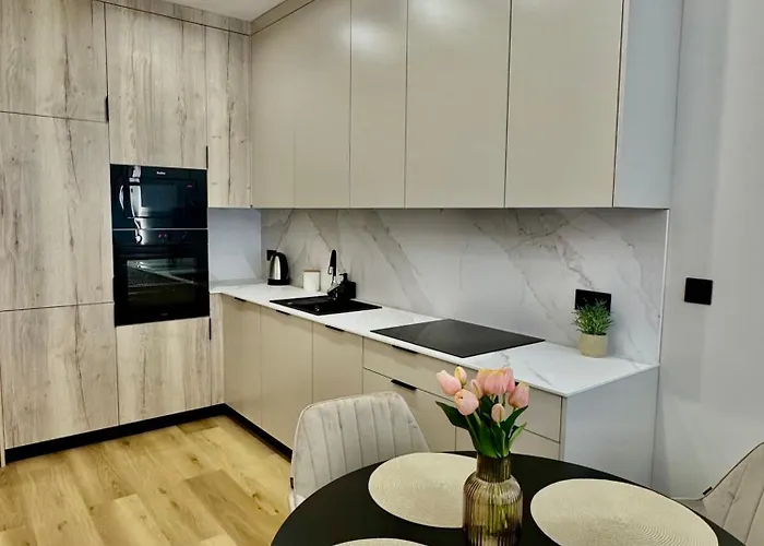 Silesia Prime Global 15 Pietro Wifi Garage Centrum Katowic Spodek